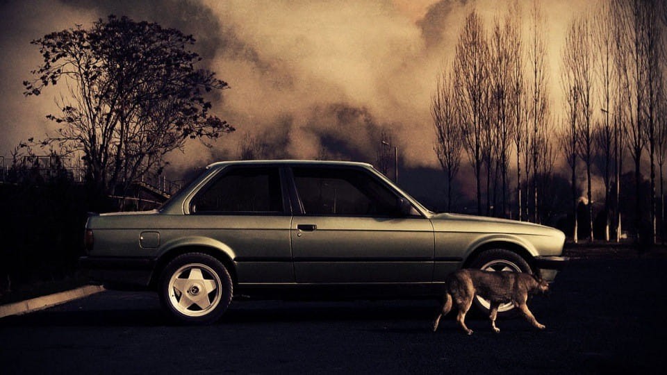 1984 First Love